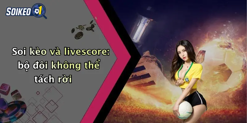 Soi kèo và livescore: bộ đôi không thể tách rời