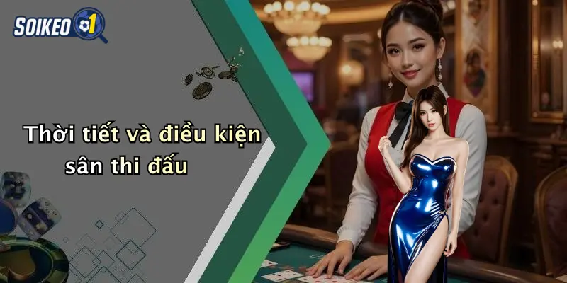 Thời tiết và điều kiện sân thi đấu