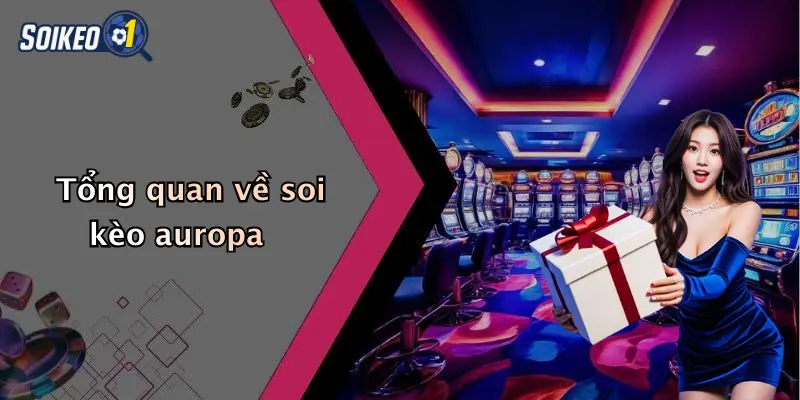 Tổng quan về soi kèo auropa