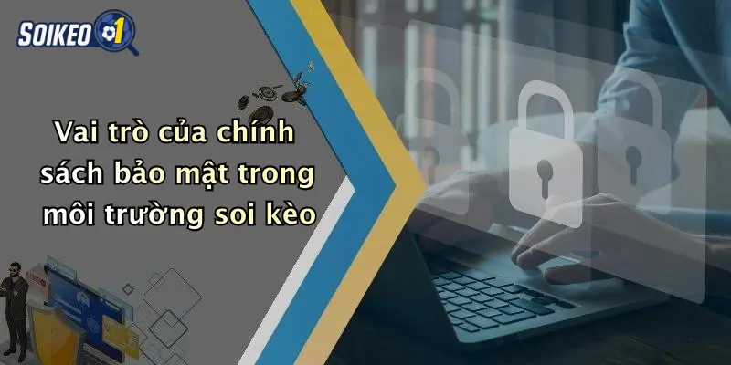 Vai trò của chính sách bảo mật trong môi trường soi kèo
