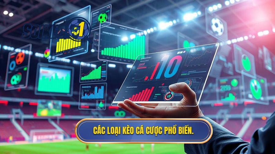2. Các loại kèo cá cược phổ biến.
