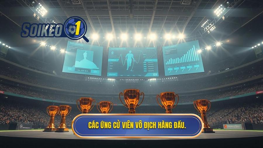 Phân tích các ứng cử viên vô địch hàng đầu